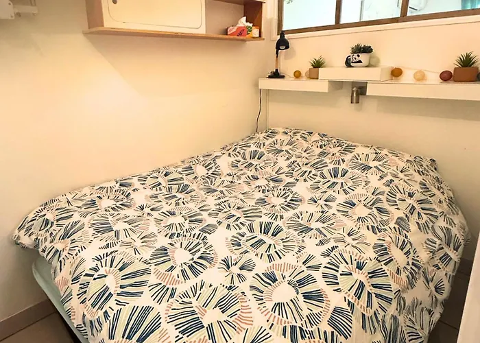 T1 Bis - Le Petit Corail Apartment *